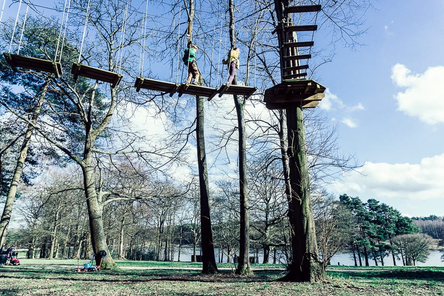 Tree Top Rope Course