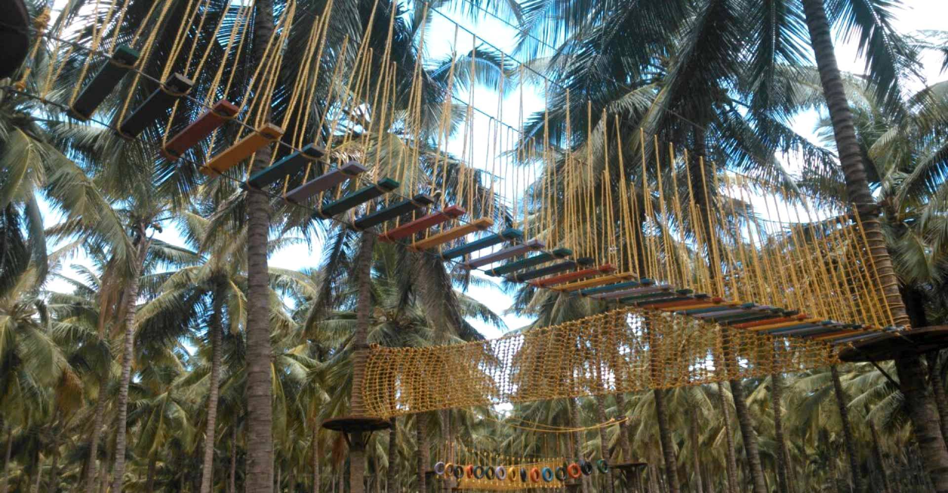 Tree Top Rope Course