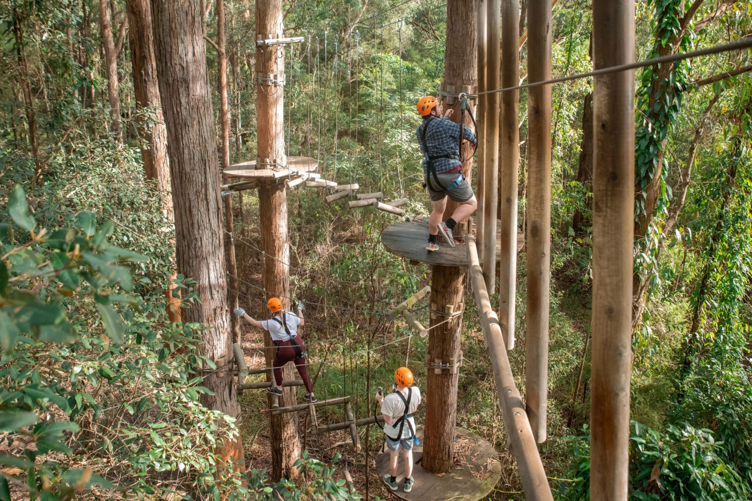 Tree Top Rope Course