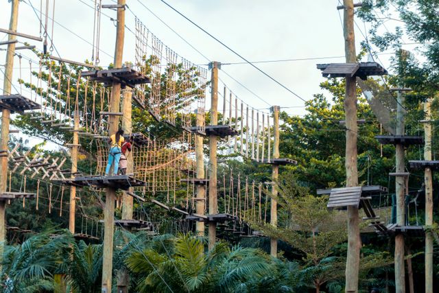Steel Rope Course