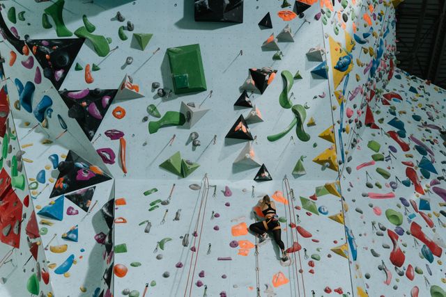 Artificial Climbing Wall