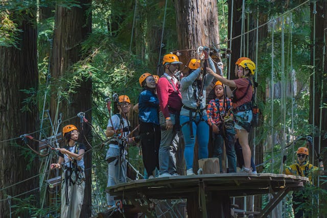 Tree Top Rope Course
